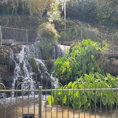 צימר יערת הדבש Hagoshrim ภายนอก รูปภาพ